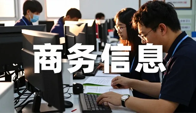 商务信息咨询解决策划中的常见需求