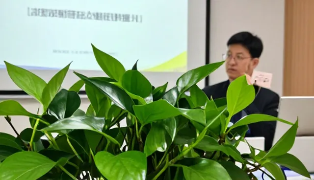 管理培训中策划服务的关键问题与应对策略